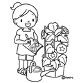 アサガオの観察日記(ぬりえ)