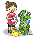 アサガオの観察日記(カラー)