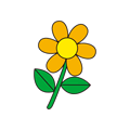 花(カラー)