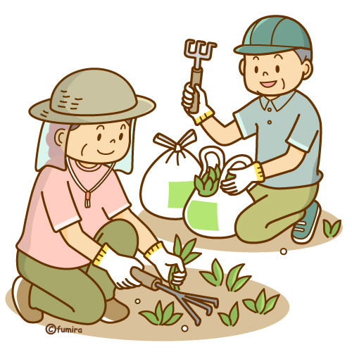 草むしりをするシルバー人材のイラスト（ソフト）