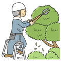 植木の剪定をする男性のイラスト(カラー)