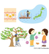 【お仕事】なぜ?どうして?きせつのふしぎ (ナツメ社)|児童書イラスト 科学イラスト 子どものイラスト 【お仕事】なぜ?どうして?きせつのふしぎ (ナツメ社)|児童書イラスト 科学イラスト 子どものイラスト